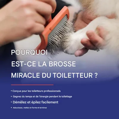 Petopia Peigne pour animaux de compagnie