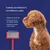 Petopia Peigne pour animaux de compagnie