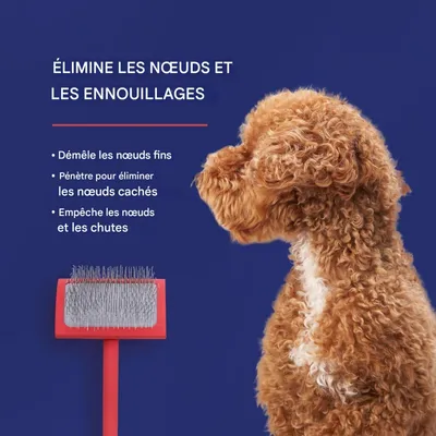 Petopia Peigne pour animaux de compagnie
