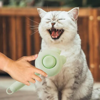 Petopia Brosse démêlante pour chat et chien