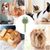 Petopia Brosse démêlante pour chat et chien