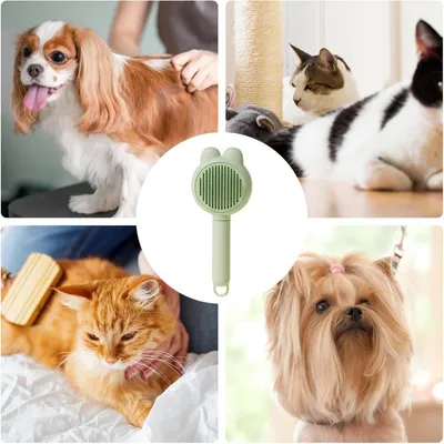 Petopia Brosse démêlante pour chat et chien