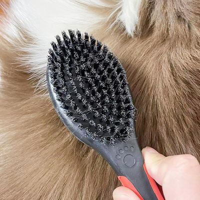UAMLY Brosse double 2 en 1 pour chiens et chats