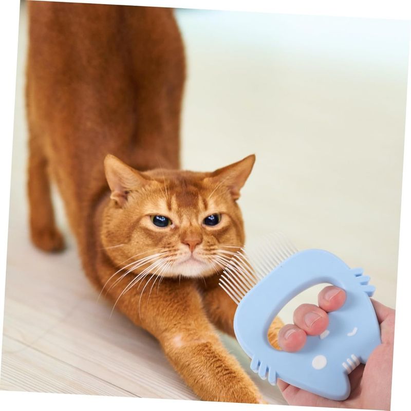 Petopia Peigne de Toilettage pour Chats et Chiens