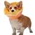 FurryFusion Collier anti-léchage imprimé