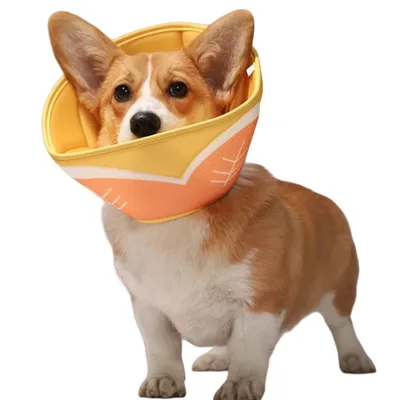 FurryFusion Collier anti-léchage imprimé