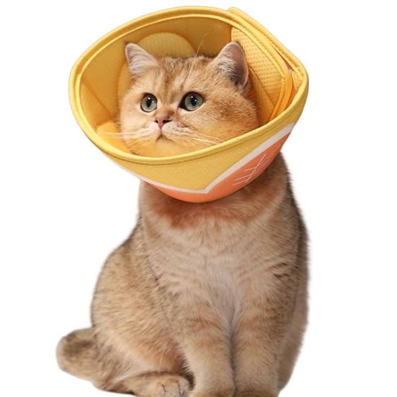FurryFusion Collier anti-léchage imprimé