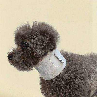 Petopia Collerettes pour chiens