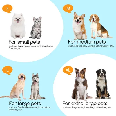 Collier de protection gonflable pour chien, réglable