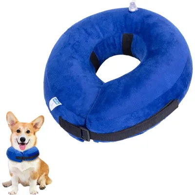 Collier de protection gonflable pour chien, réglable