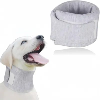 Petopia Collerettes pour chiens