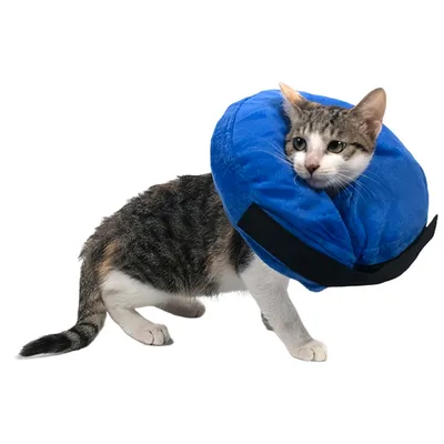 FurryFusion Collier gonflable anti-morsures pour chats et chiens