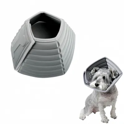 FurryFusion Collier anti-léchage pour chien Bone Imprint