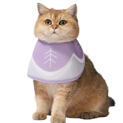 FurryFusion Collier anti-léchage imprimé