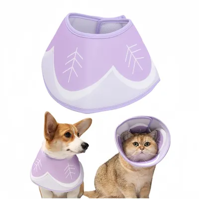 FurryFusion Collier anti-léchage imprimé