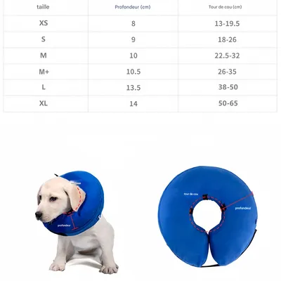 FurryFusion Collier gonflable anti-morsures pour chats et chiens