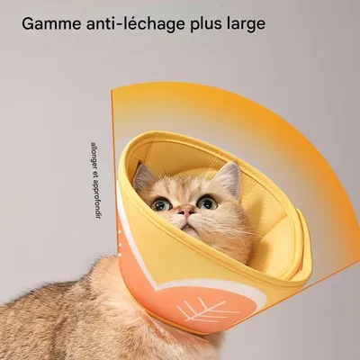 FurryFusion Collier anti-léchage imprimé