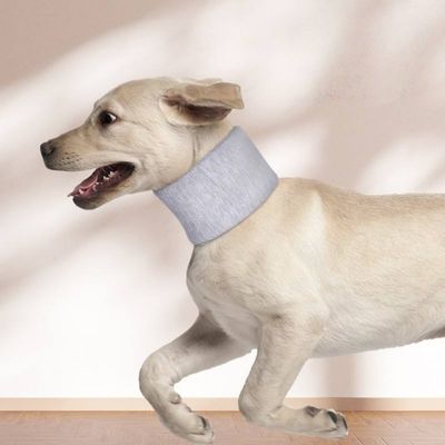 Petopia Collerettes pour chiens