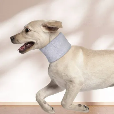 Petopia Collerettes pour chiens