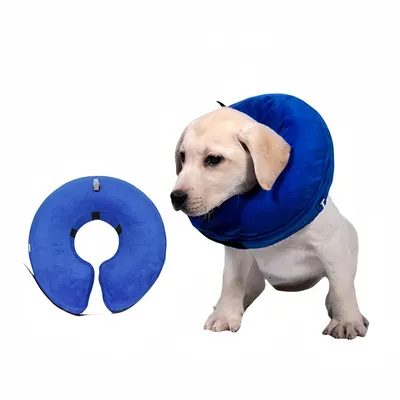 FurryFusion Collar inflable anti-mordeduras para gatos y perros
