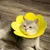Petopia Collier élisabéthain pour animaux de compagnie