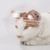 FurryFusion Casque anti - léchage pour chat