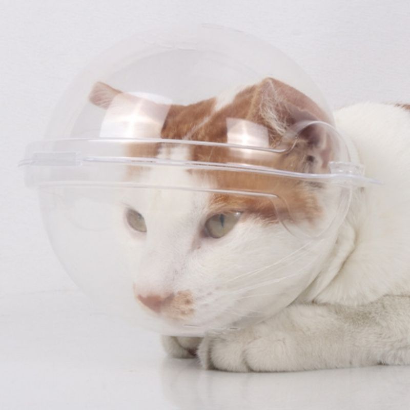 FurryFusion Casque anti - léchage pour chat