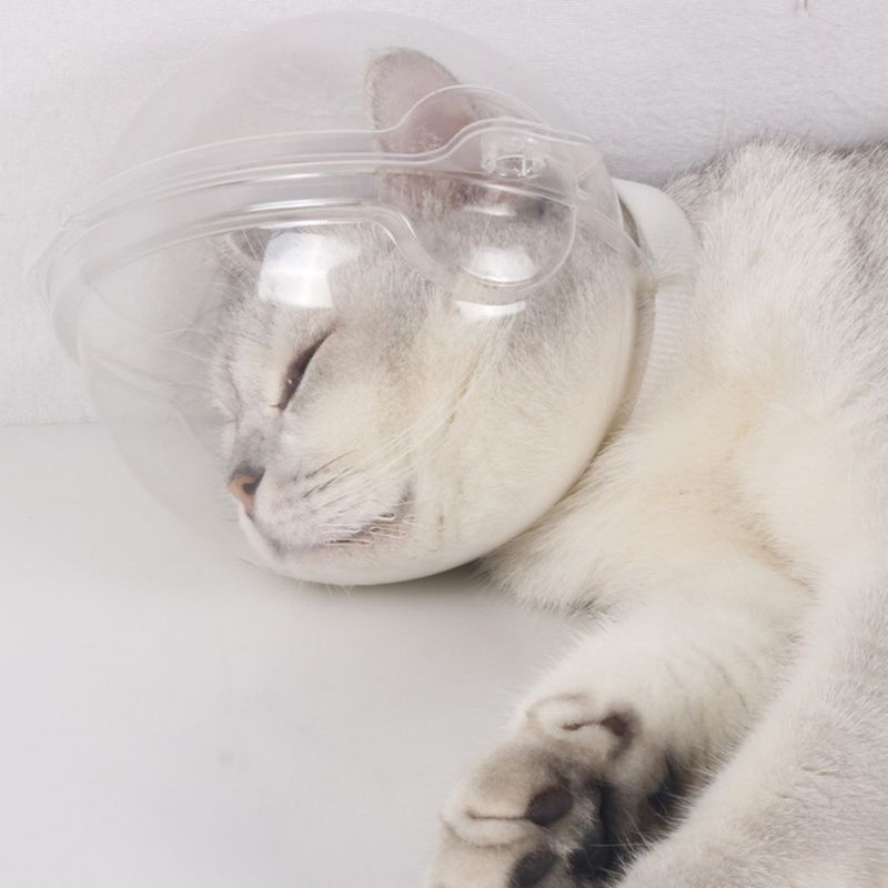 FurryFusion Casque anti - léchage pour chat