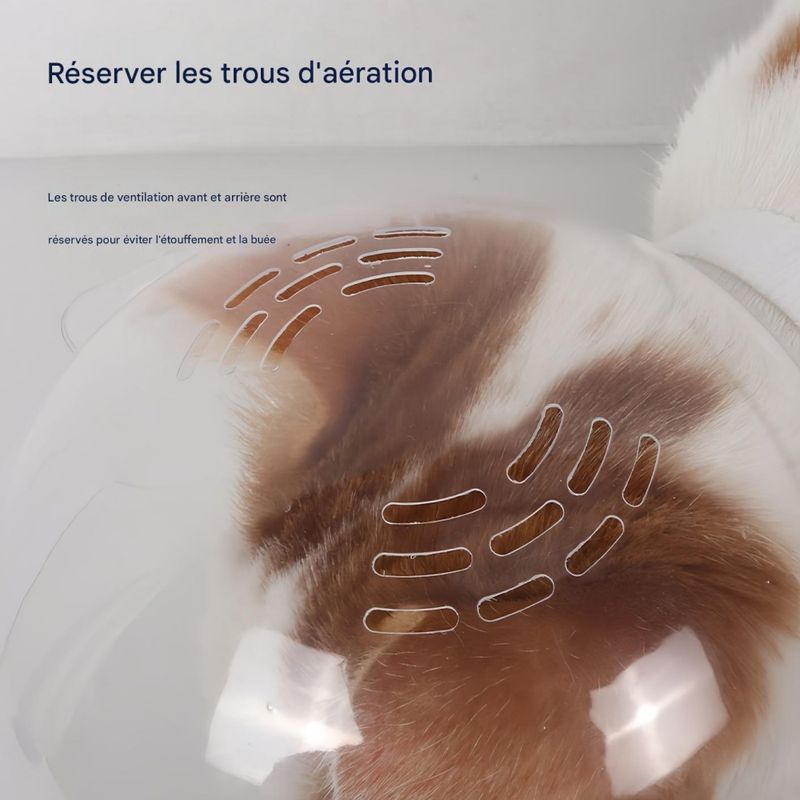 FurryFusion Casque anti - léchage pour chat