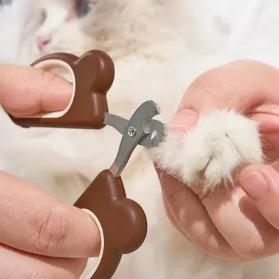 Petopia Coupe-griffes pour chat