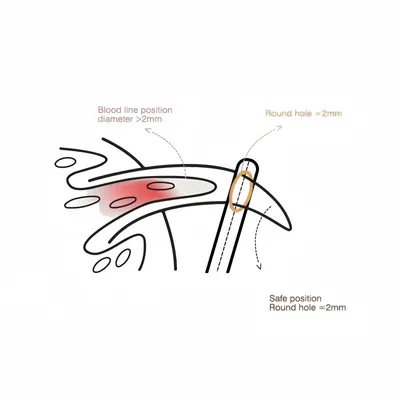 Petopia Coupe-griffes pour chat