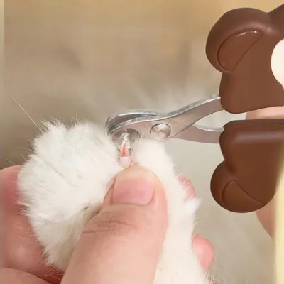 Petopia Coupe-griffes pour chat Petopia Coupe-griffes pour chat