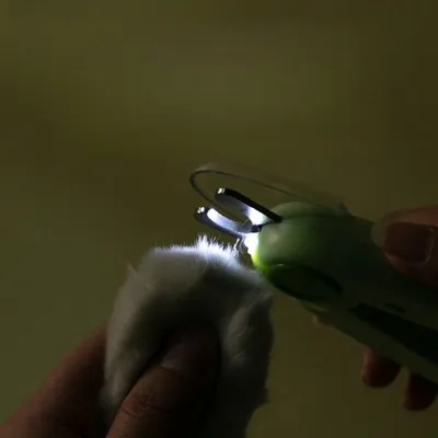 Petopia Coupe - Ongles pour Chat