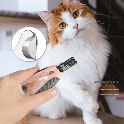 Petopia Ciseaux de Toilettage pour Griffes de Chats et Chiens
