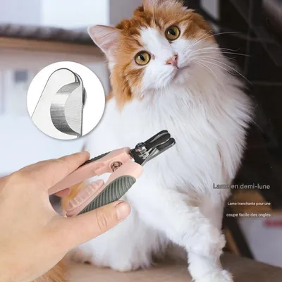 Petopia Ciseaux de Toilettage pour Griffes de Chats et Chiens