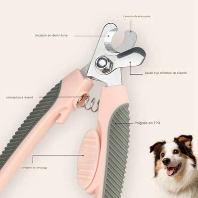 Petopia Ciseaux de Toilettage pour Griffes de Chats et Chiens