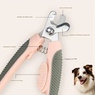 Petopia Ciseaux de Toilettage pour Griffes de Chats et Chiens