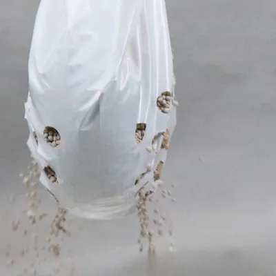 Pet Planet Sacs à litière filtrants pour chat