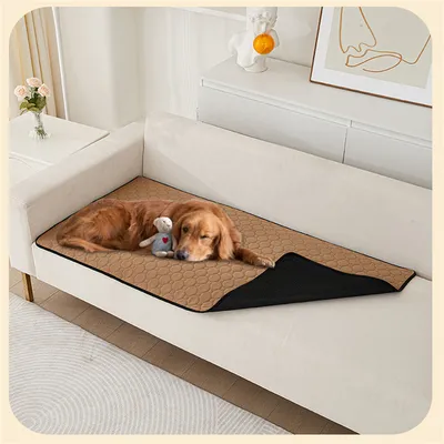 Pet Planet Tapis absorbant et anti - urine pour chien 50×70cm