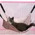 FurryFusion Hamac pour cage de chat en toile d'lin
