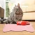 UAMLY Tapis pour bols de nourriture et d'eau pour chats(C)