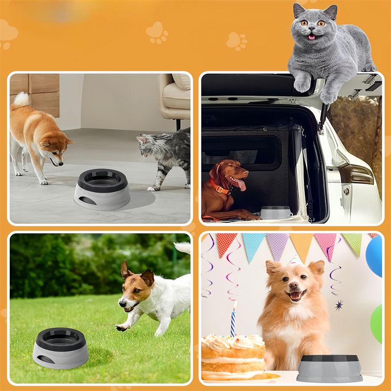 Pet Planet En voiture Gamelle d'eau anti-débordement