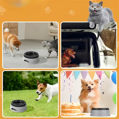 Pet Planet En voiture Gamelle d'eau anti-débordement