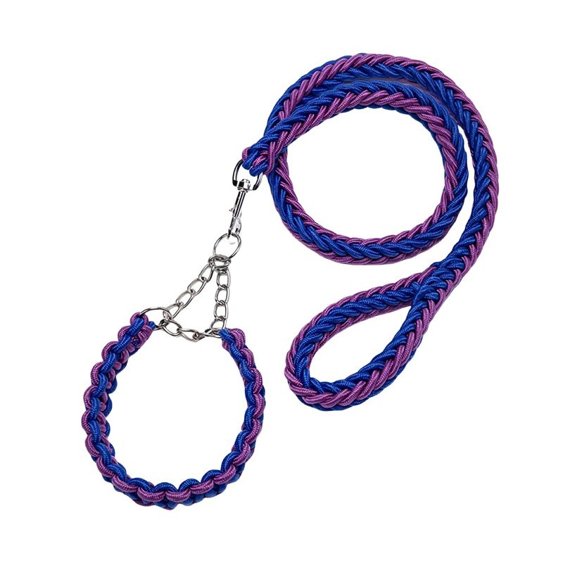 FurryFusion Laisse pour chien en nylon tressé