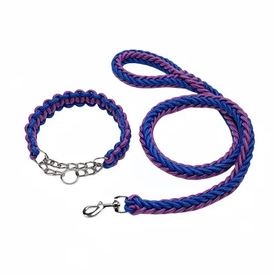 FurryFusion Laisse pour chien en nylon tressé