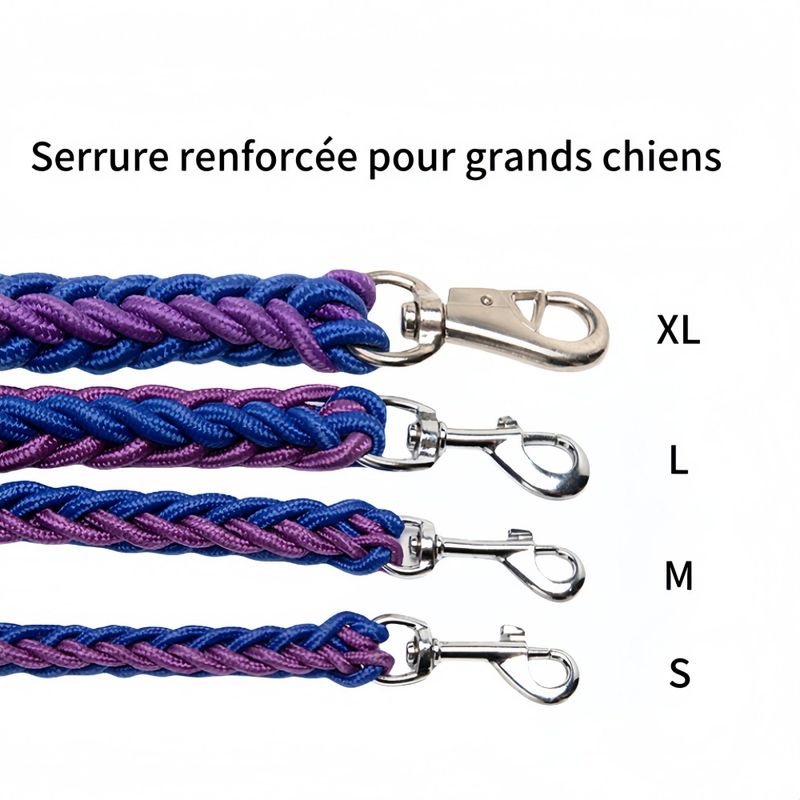 FurryFusion Laisse pour chien en nylon tressé