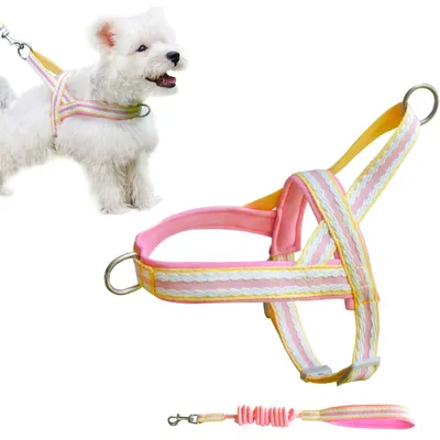 UAMLY Harnais pour Chien avec Laisse( )
