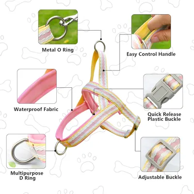 UAMLY Harnais pour Chien avec Laisse(Rose)