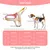 UAMLY Harnais pour Chien avec Laisse(Rose)