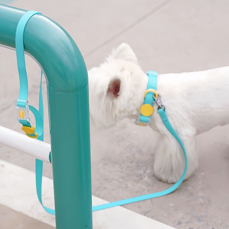 FurryFusion Ensemble collier et laisse breakaway pour chien